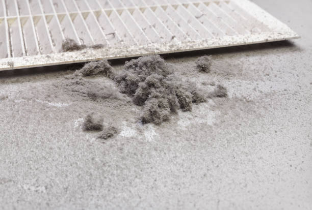 Best Affordable HVAC Duct Cleaning  in Fowler, IN
