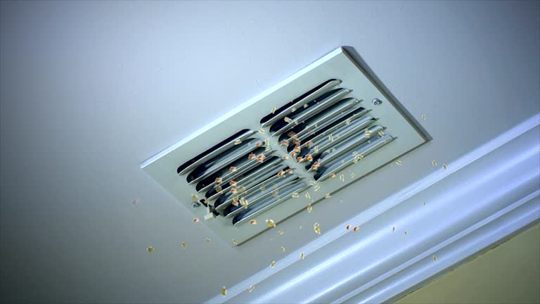 Best General Air Duct Cleaning  in Fowler, IN