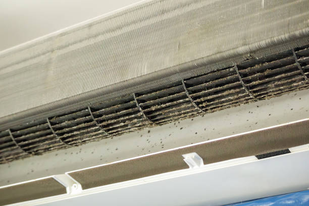 Best Home Air Vent Cleaning  in Fowler, IN